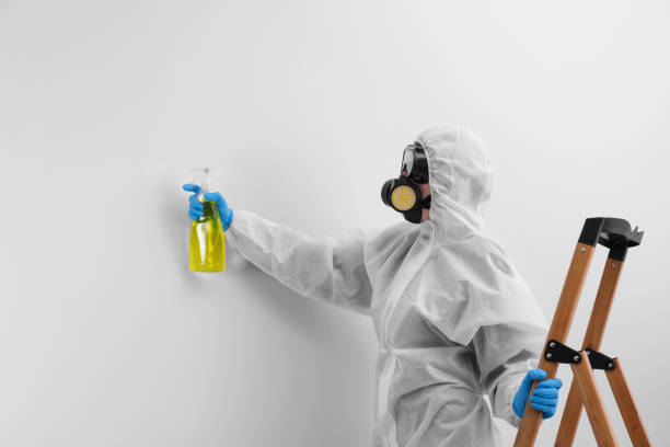 Best Emergency Mold Remediation  in Wacousta, MI